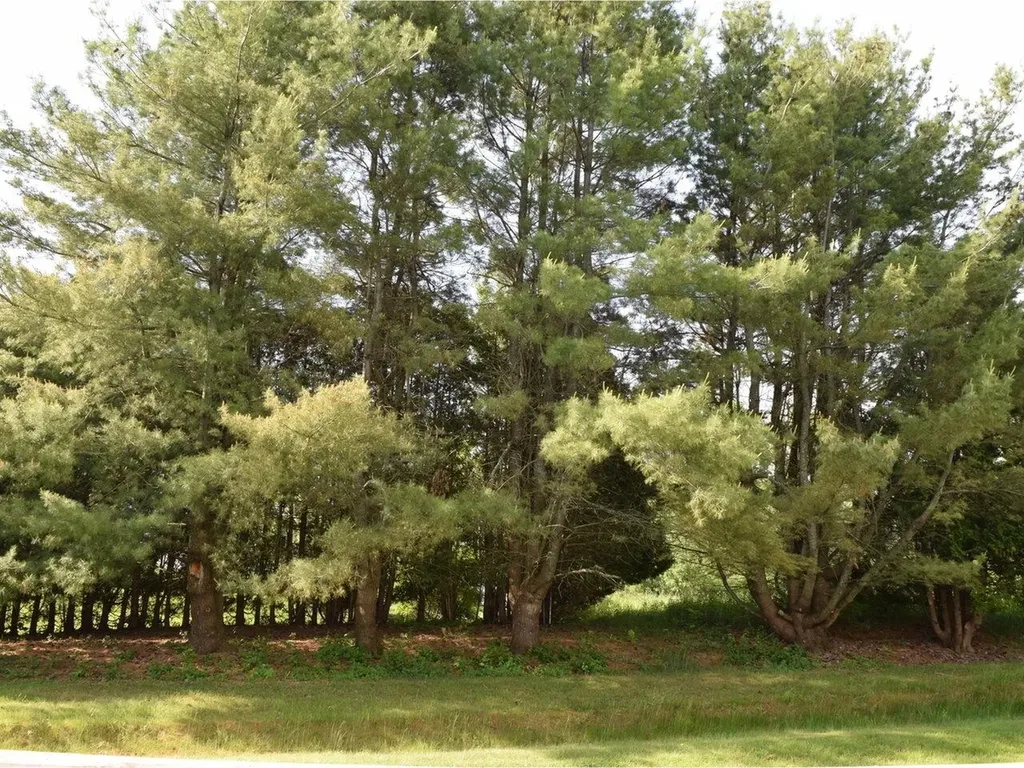 251 Eastview Circle Williston VT 05495