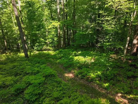 1273 Hebert Road Williamstown VT 05679