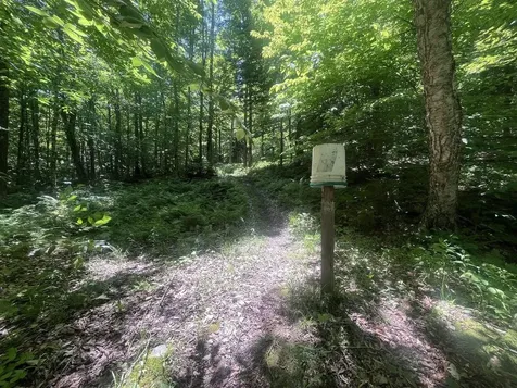 1273 Hebert Road Williamstown VT 05679