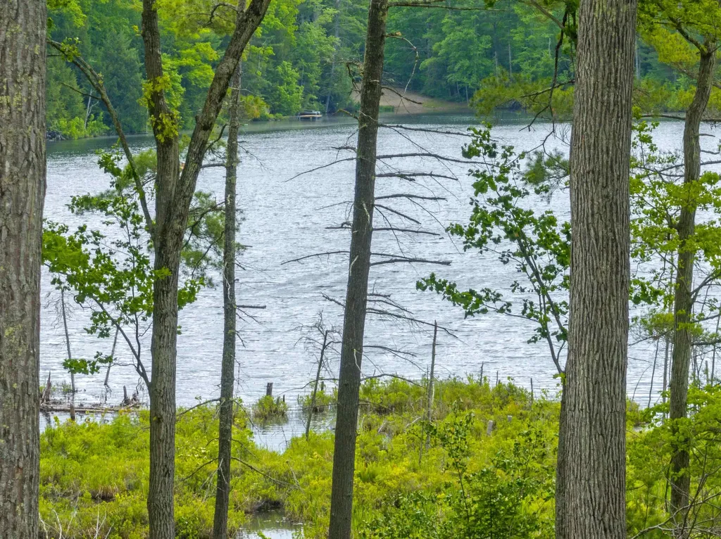 491 Pond Circle Haverhill NH 03774