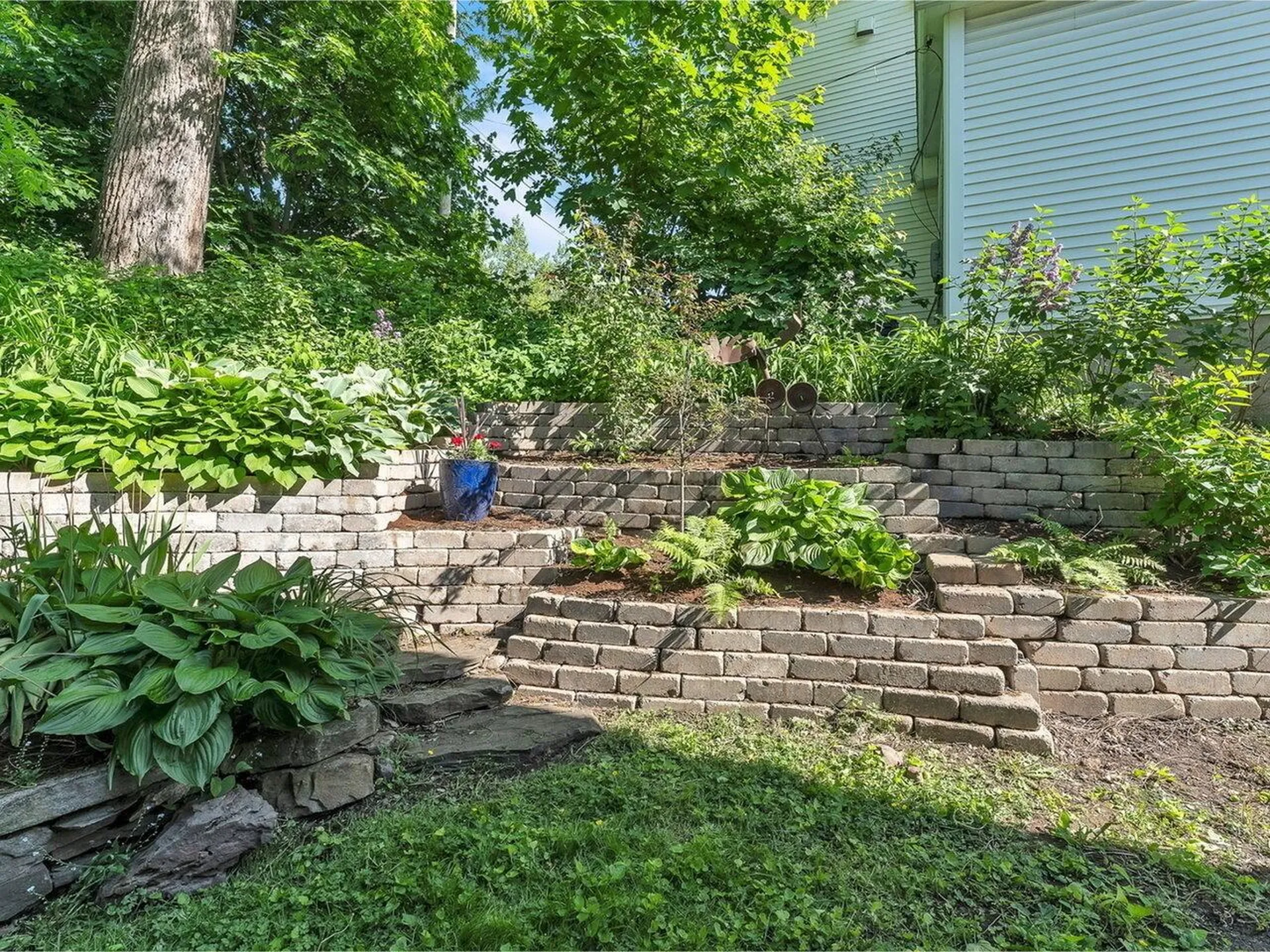 38 Harrington Terrace Burlington VT 05401