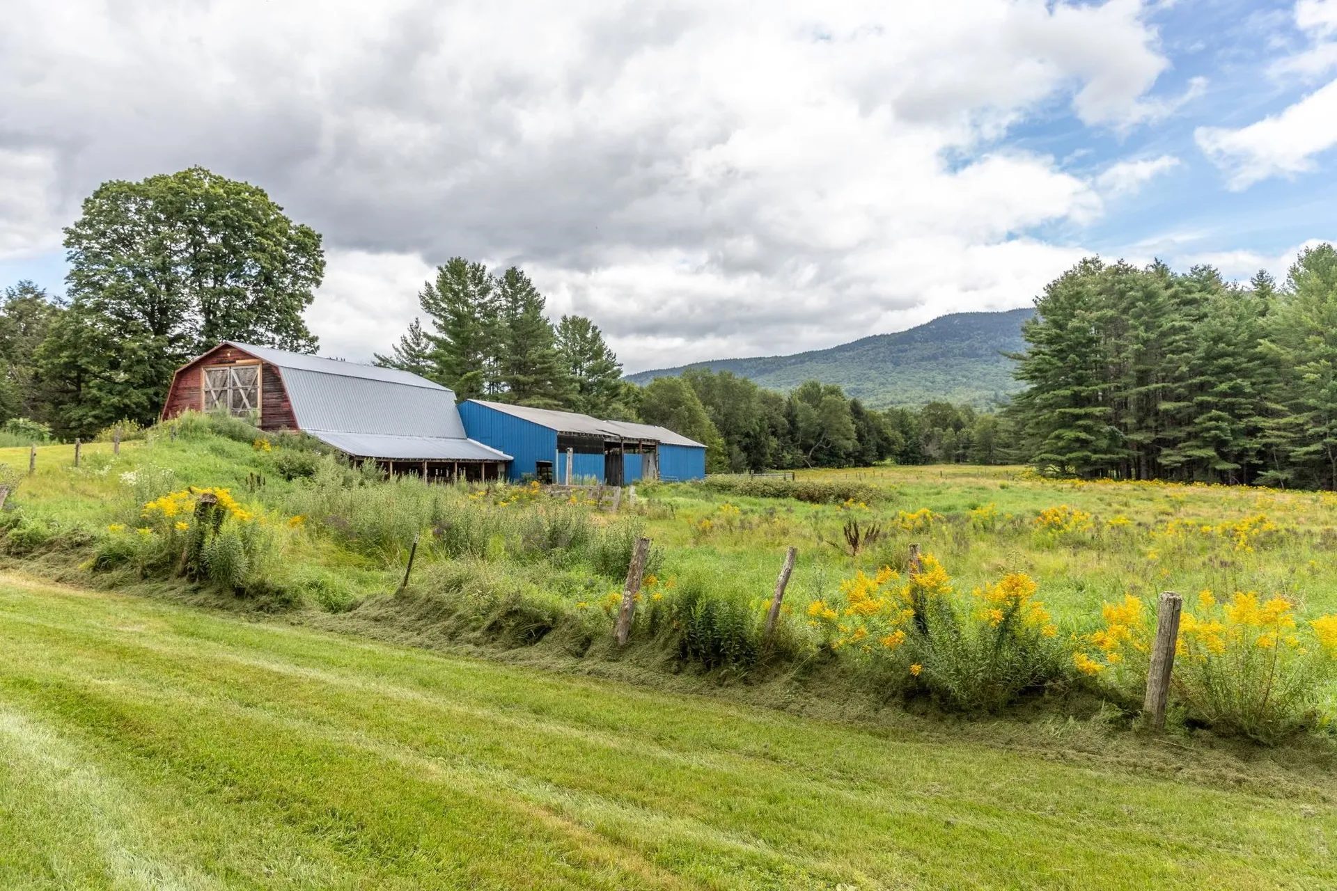 311 Fitzgerald Road Morristown VT 05661