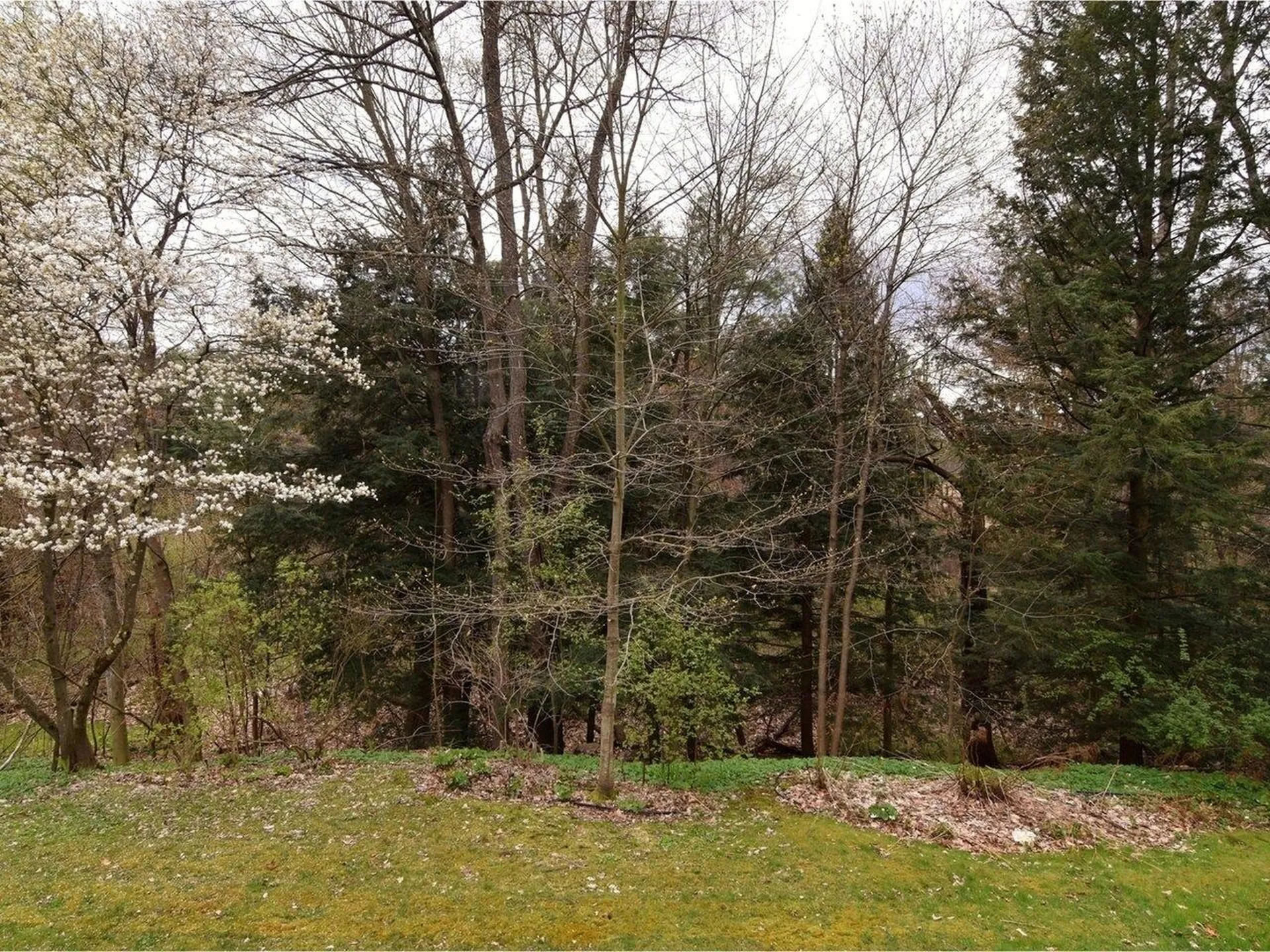 13 Deane Street South Burlington VT 05403