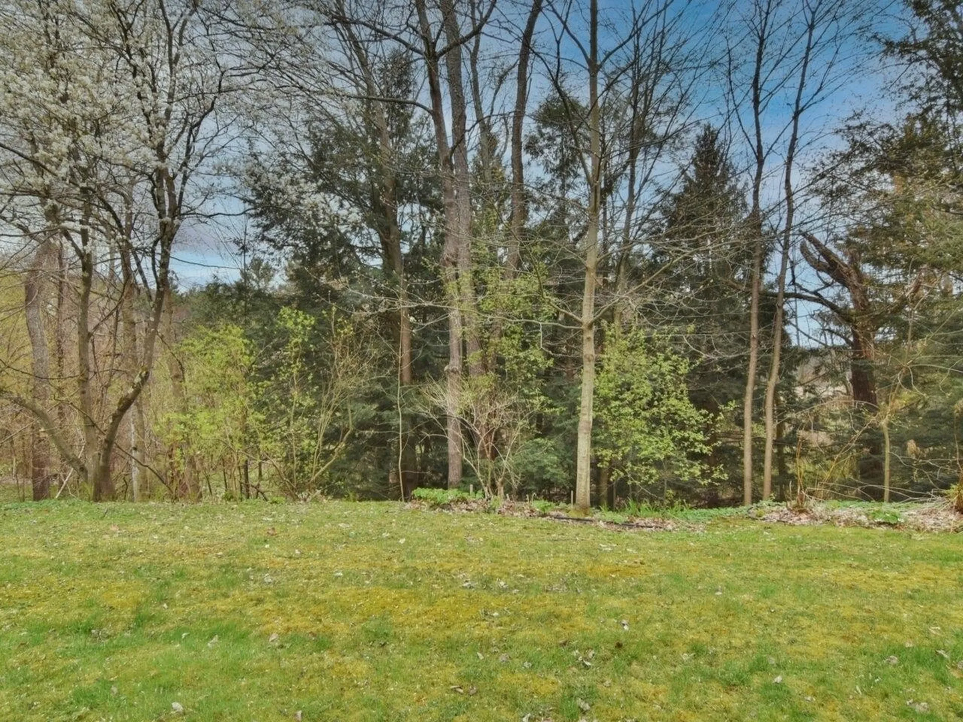 13 Deane Street South Burlington VT 05403