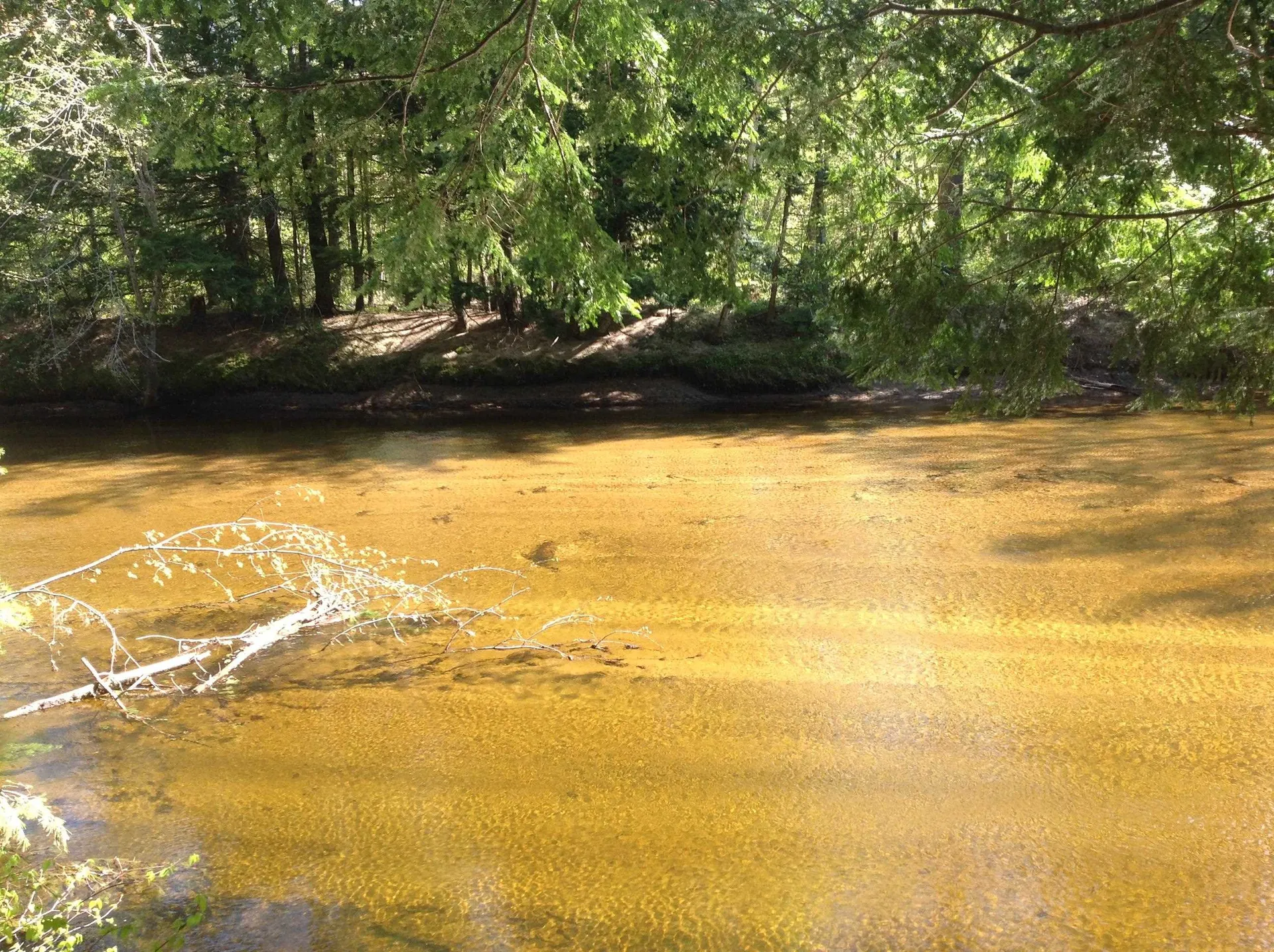 74 & 76 Newman Drew Road Ossipee NH 03814