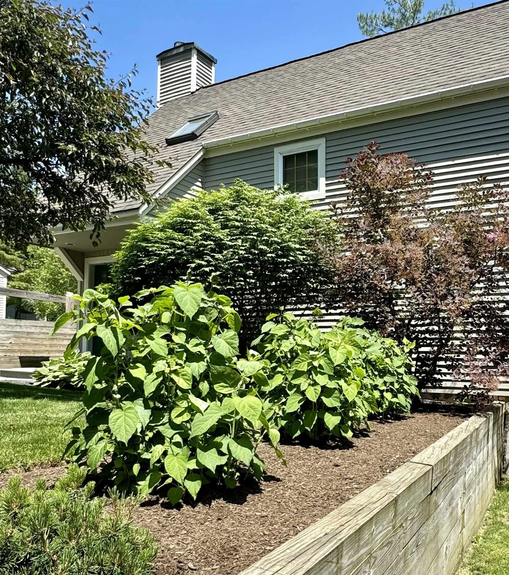 157 Eagle Rise Road Manchester VT 05255