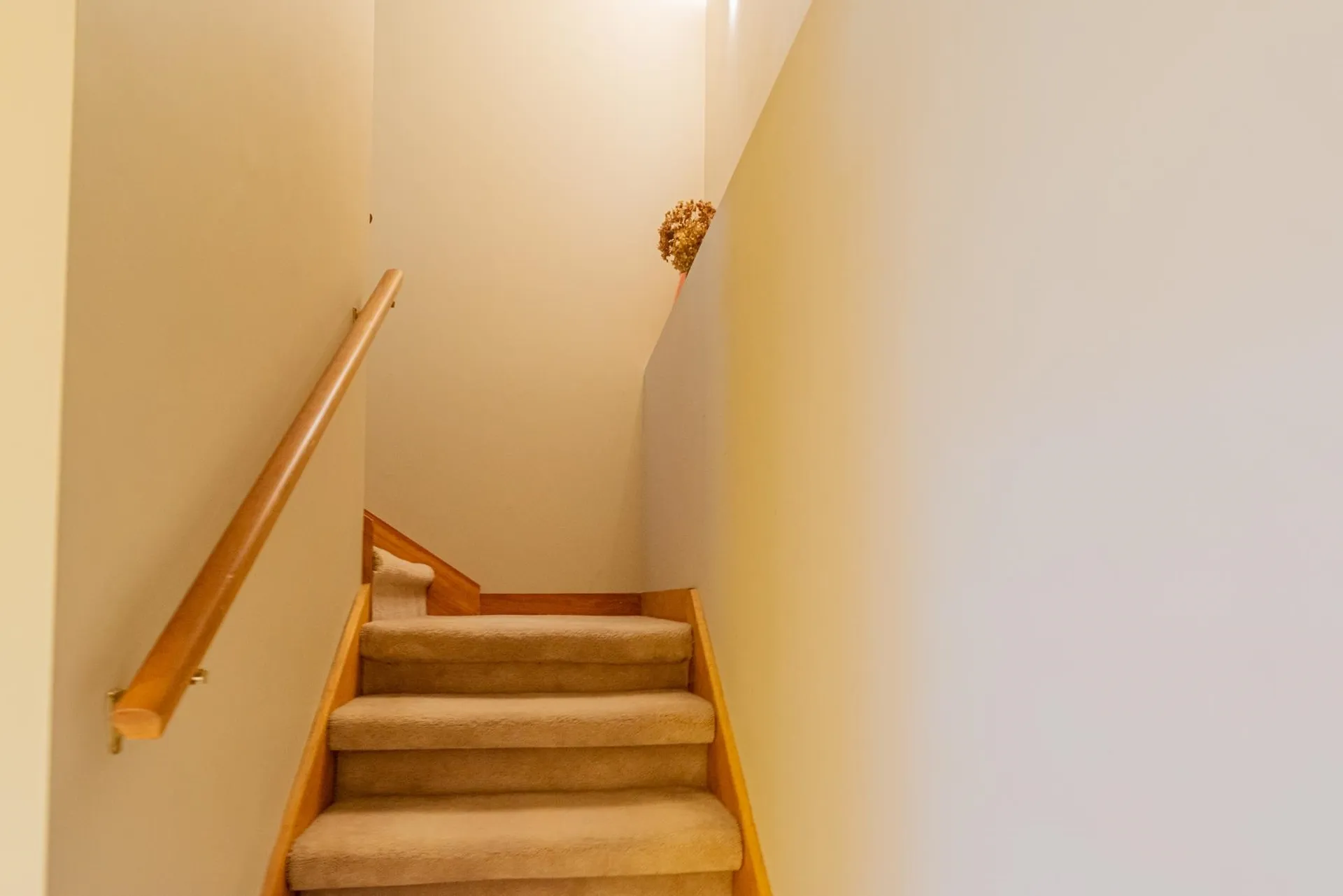 157 Eagle Rise Road Manchester VT 05255