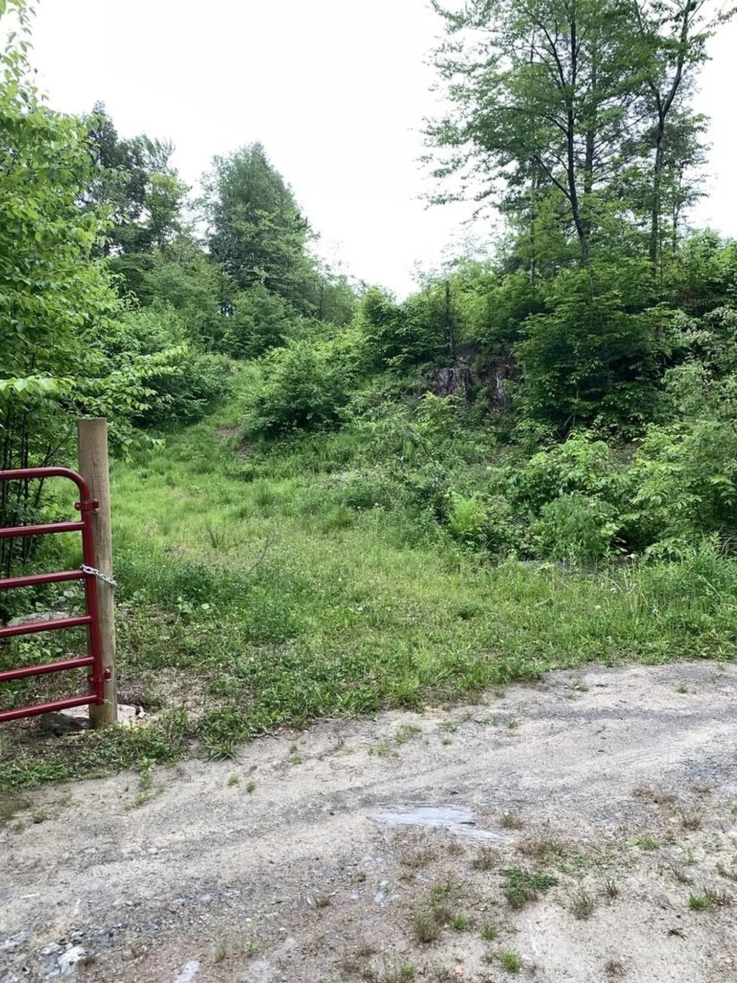 235 Hill Top Drive Worcester VT 05682