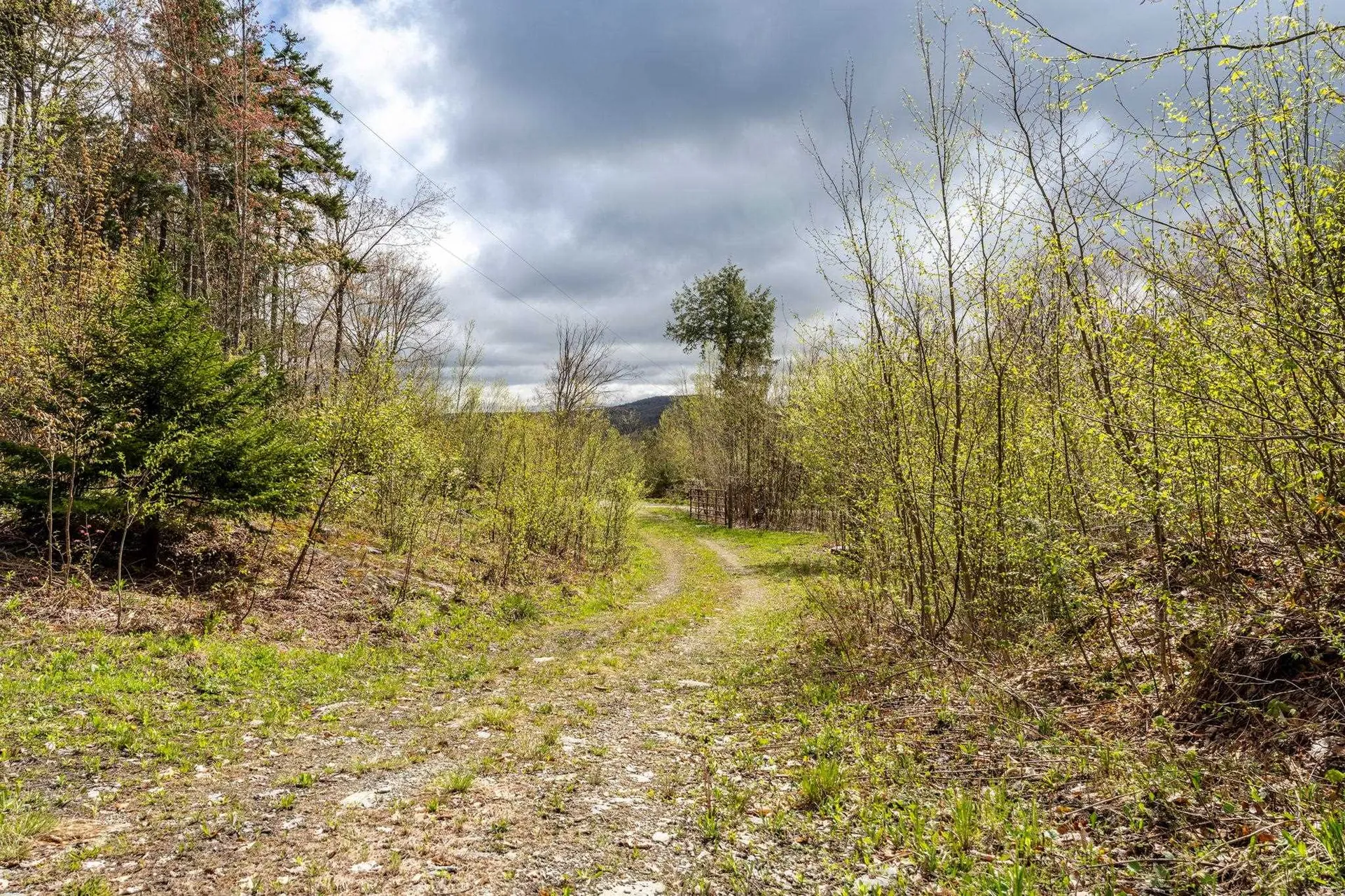 235 Hill Top Drive Worcester VT 05682