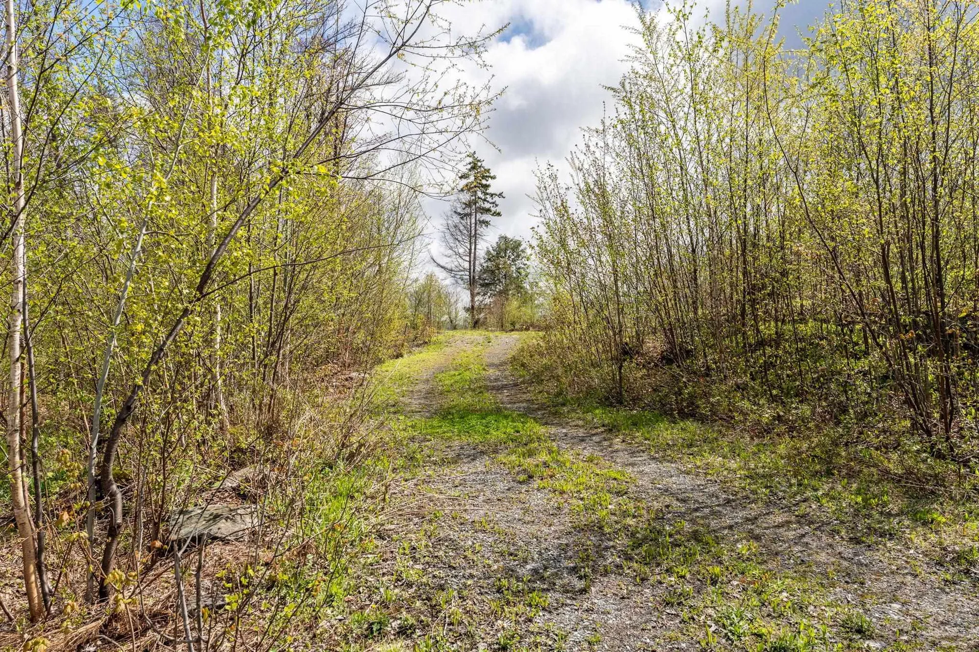 235 Hill Top Drive Worcester VT 05682