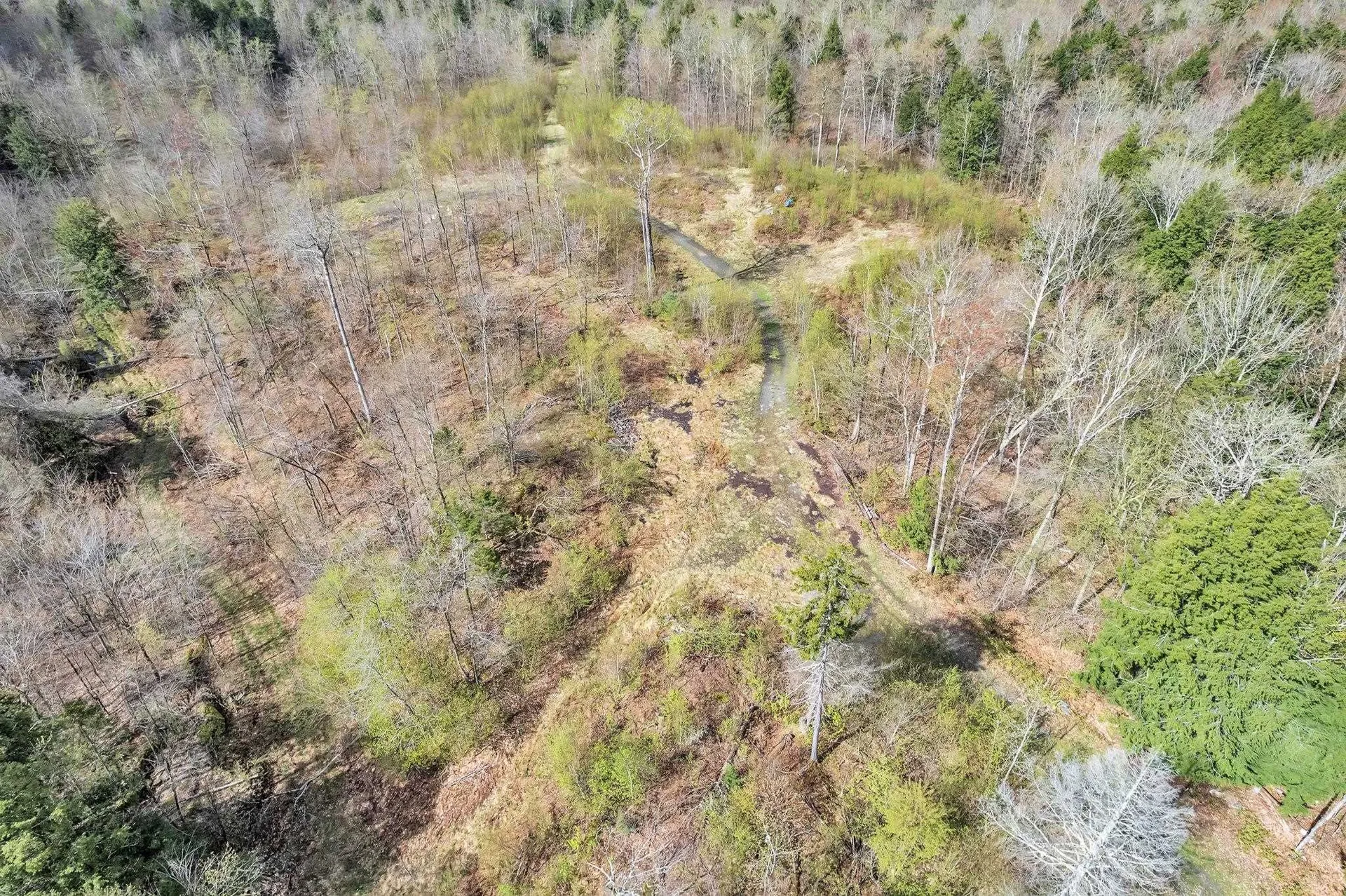 235 Hill Top Drive Worcester VT 05682