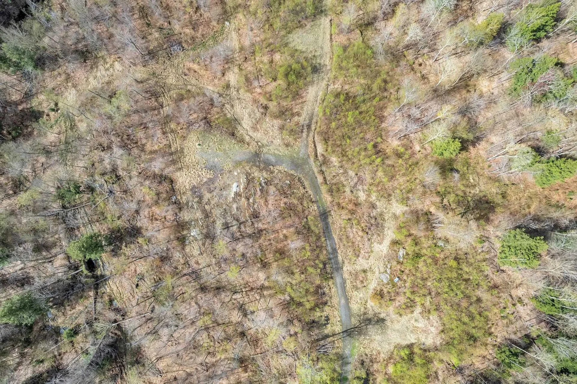 235 Hill Top Drive Worcester VT 05682
