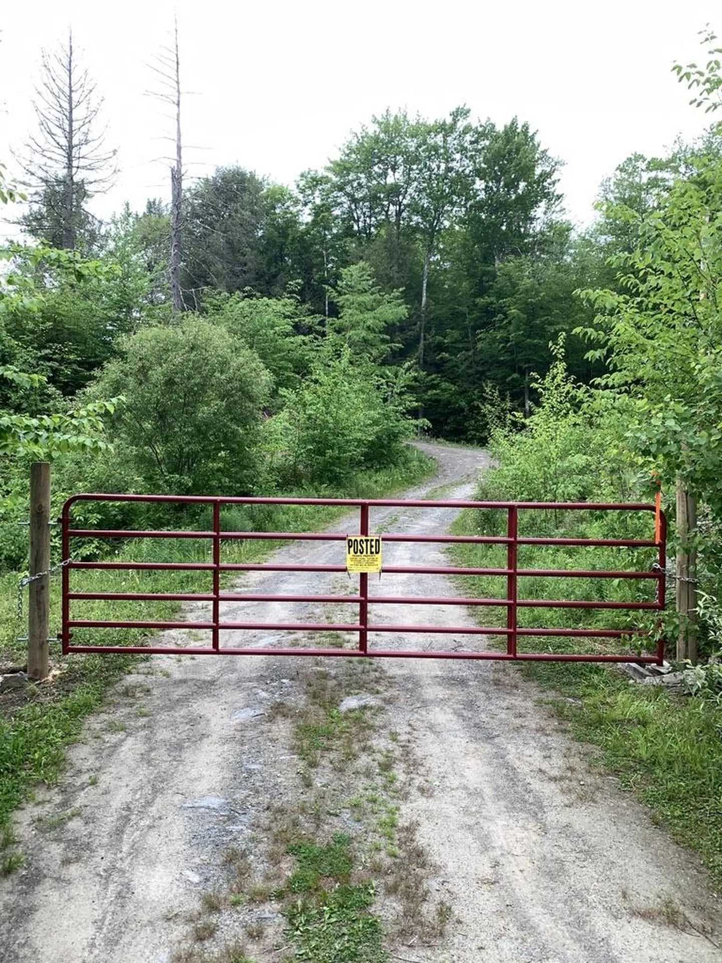 235 Hill Top Drive Worcester VT 05682