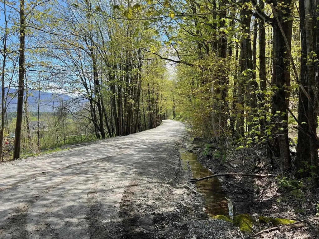 501 Old Otis Road Danby VT 05739