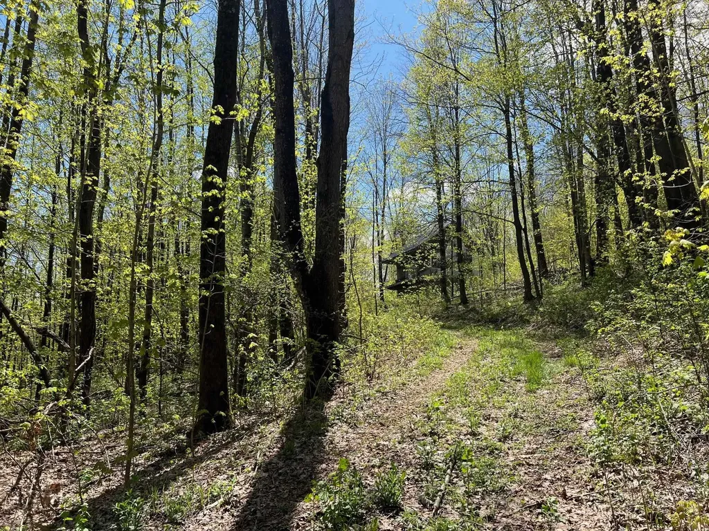 501 Old Otis Road Danby VT 05739