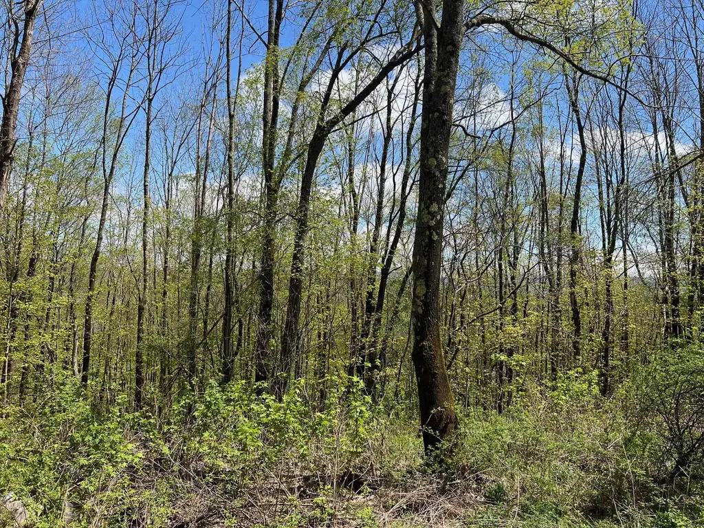 501 Old Otis Road Danby VT 05739