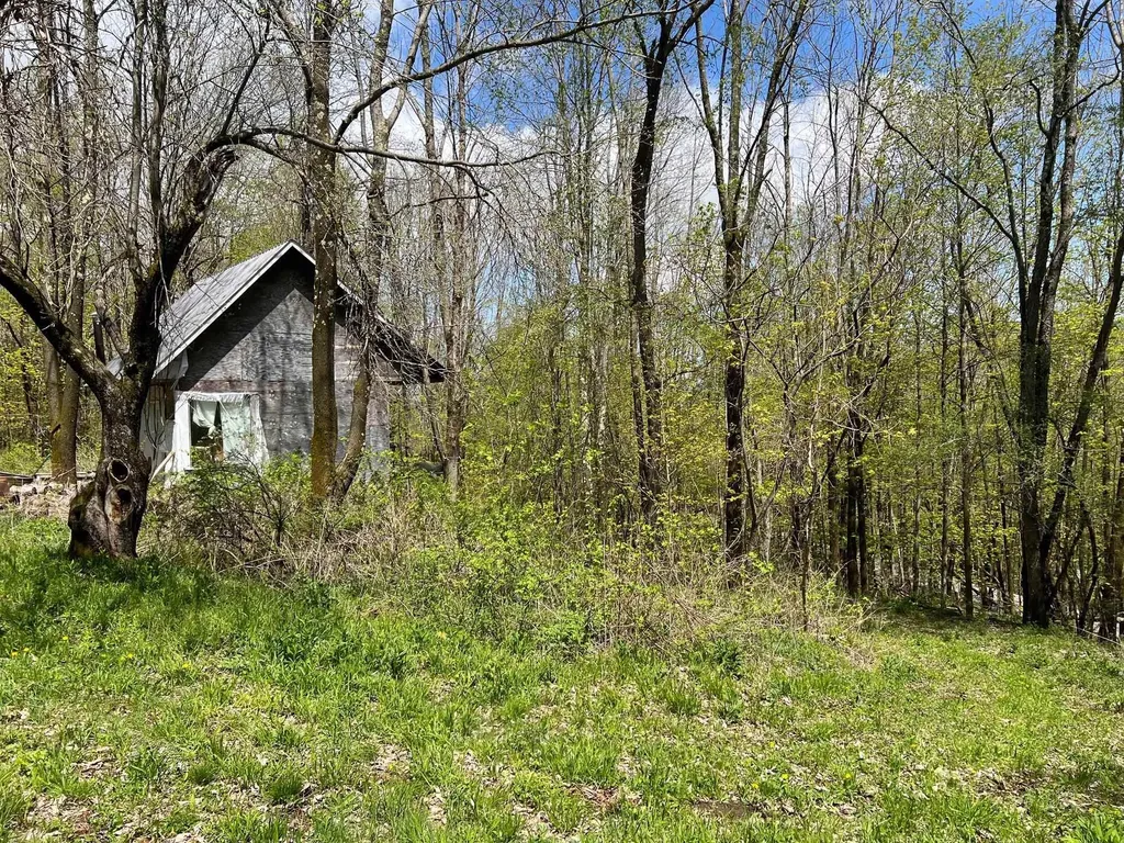 501 Old Otis Road Danby VT 05739