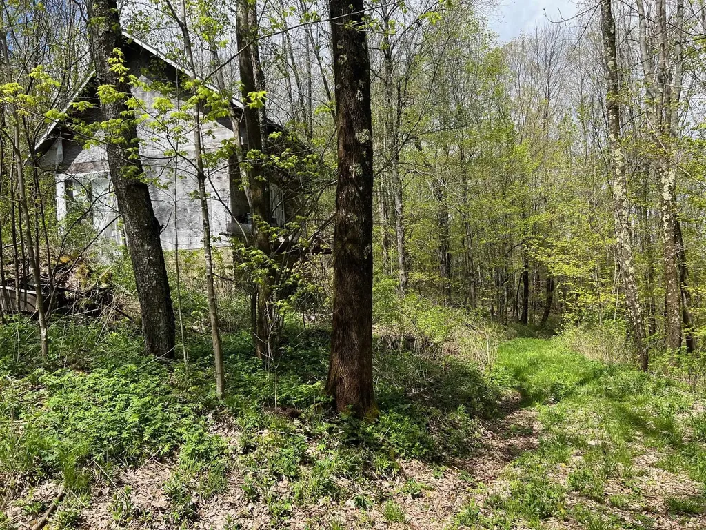 501 Old Otis Road Danby VT 05739