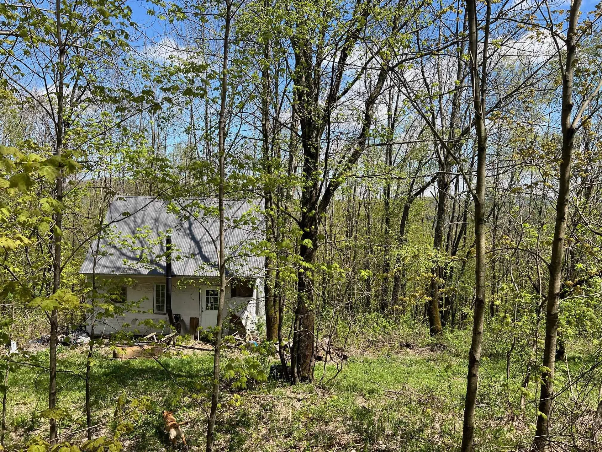 501 Old Otis Road Danby VT 05739