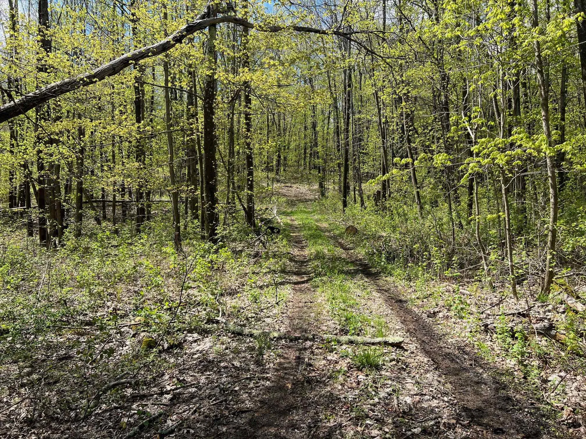 501 Old Otis Road Danby VT 05739