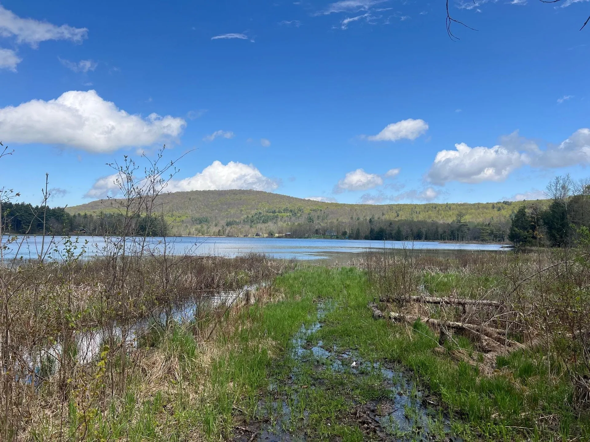 501 Old Otis Road Danby VT 05739