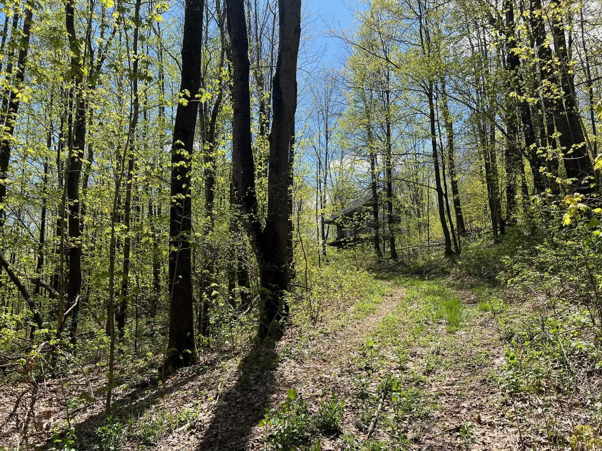 501 Old Otis Road Danby VT 05739