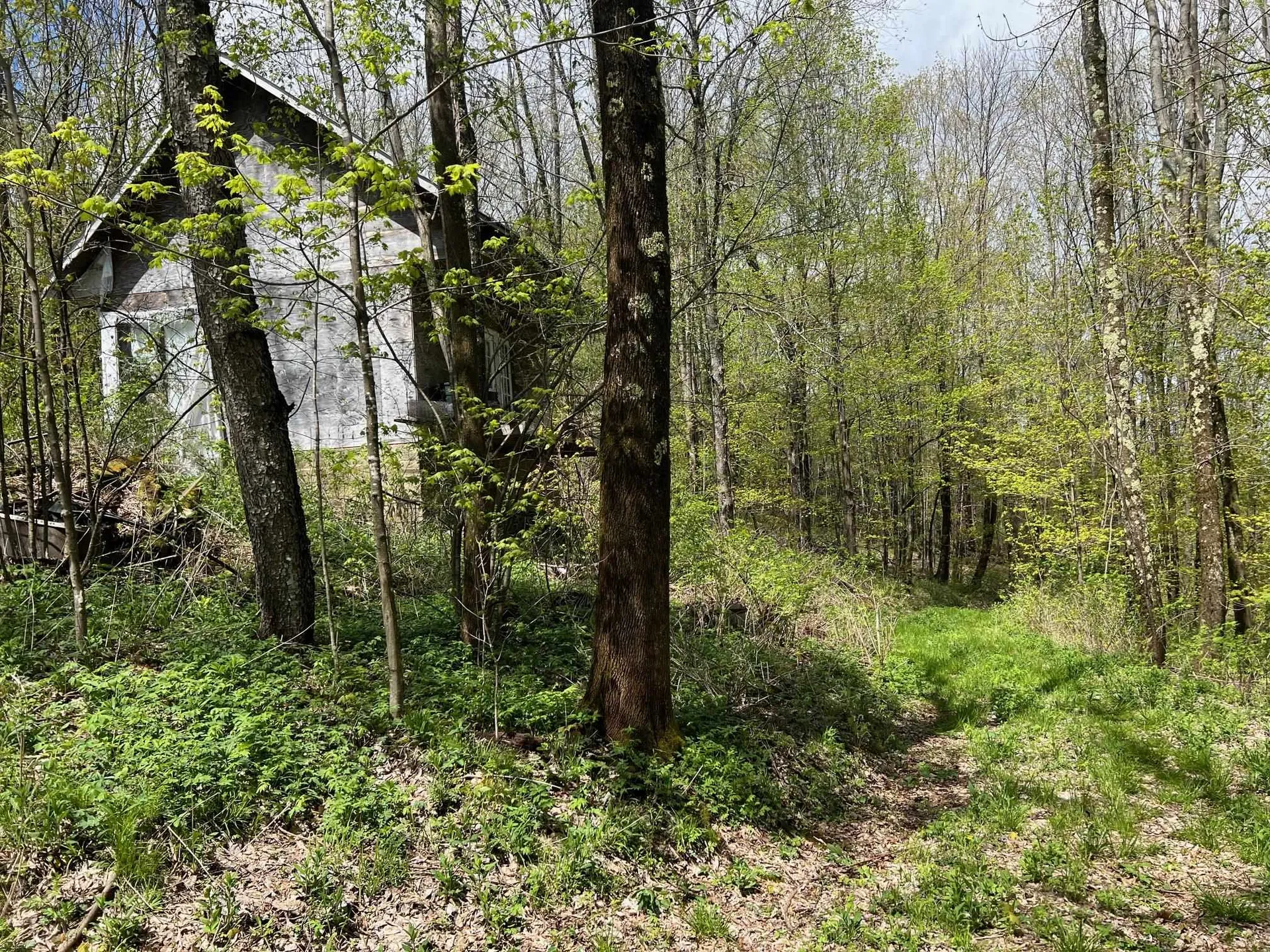 501 Old Otis Road Danby VT 05739