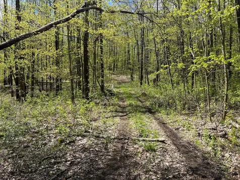 501 Old Otis Road Danby VT 05739