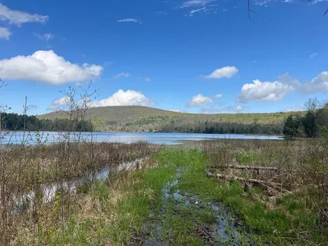 501 Old Otis Road Danby VT 05739