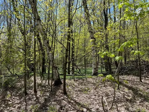 501 Old Otis Road Danby VT 05739