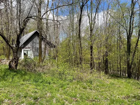 501 Old Otis Road Danby VT 05739