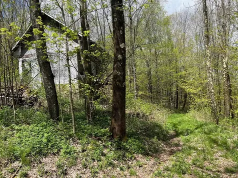 501 Old Otis Road Danby VT 05739