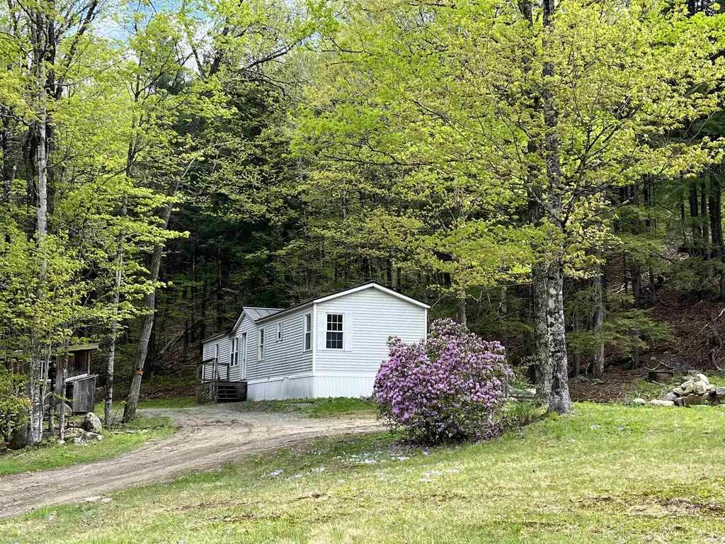 1178 Grassy Brook Road Brookline VT 05345