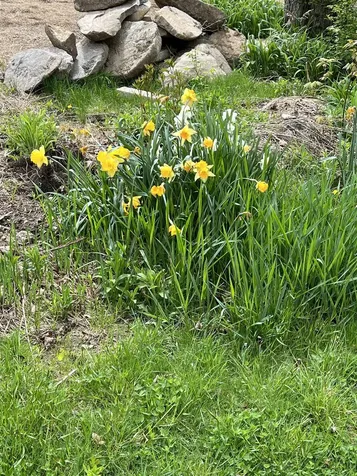 1178 Grassy Brook Road Brookline VT 05345