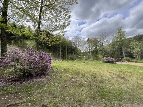 1178 Grassy Brook Road Brookline VT 05345