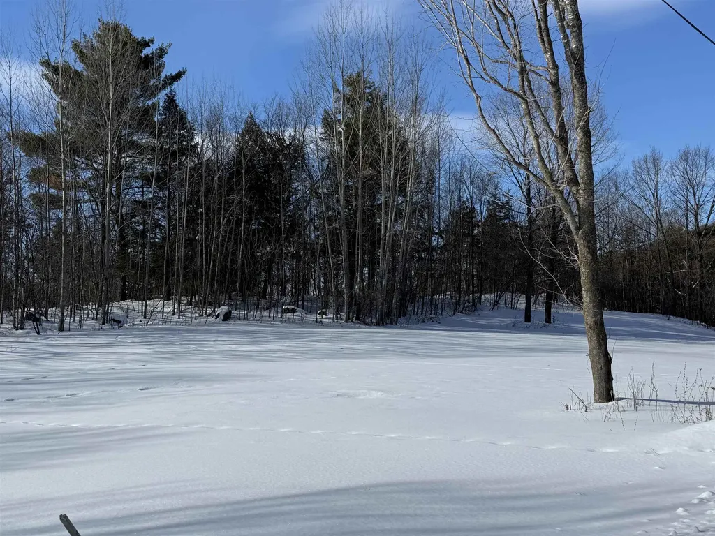 Tbd Forrest Road Bridport VT 05734