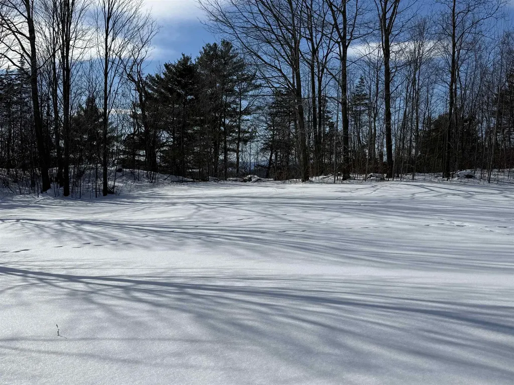 Tbd Forrest Road Bridport VT 05734