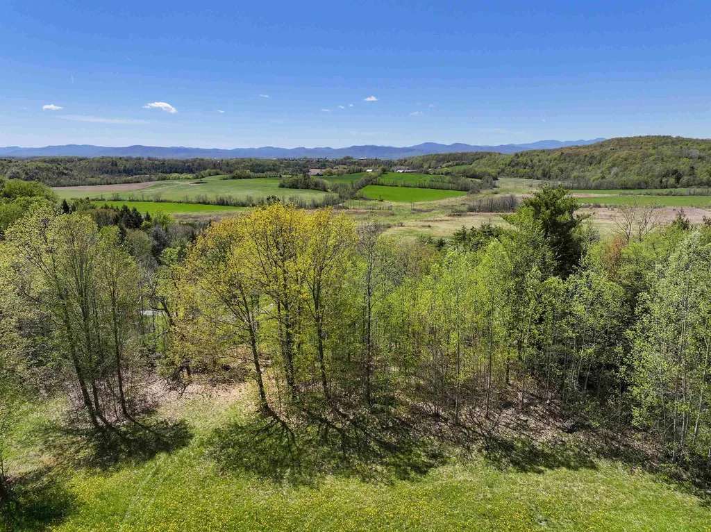 Tbd Forrest Road Bridport VT 05734