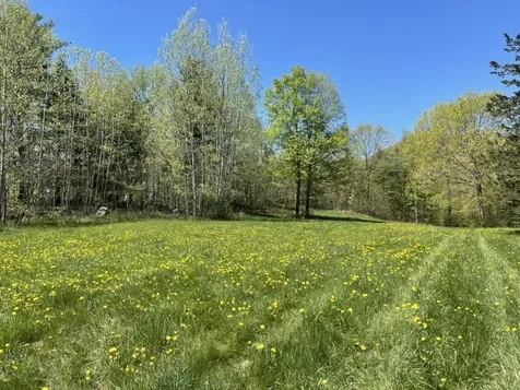 Tbd Forrest Road Bridport VT 05734