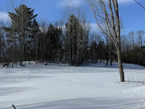 Tbd Forrest Road Bridport VT 05734