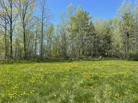 Tbd Forrest Road Bridport VT 05734