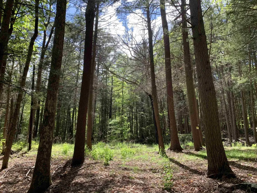 19 Shag Bark Hill Putney VT 05346