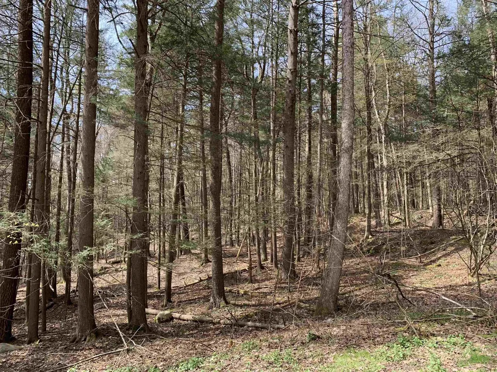 19 Shag Bark Hill Putney VT 05346