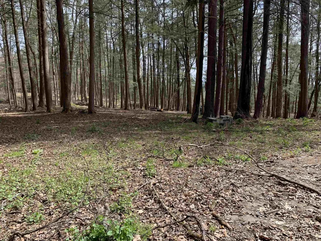 19 Shag Bark Hill Putney VT 05346