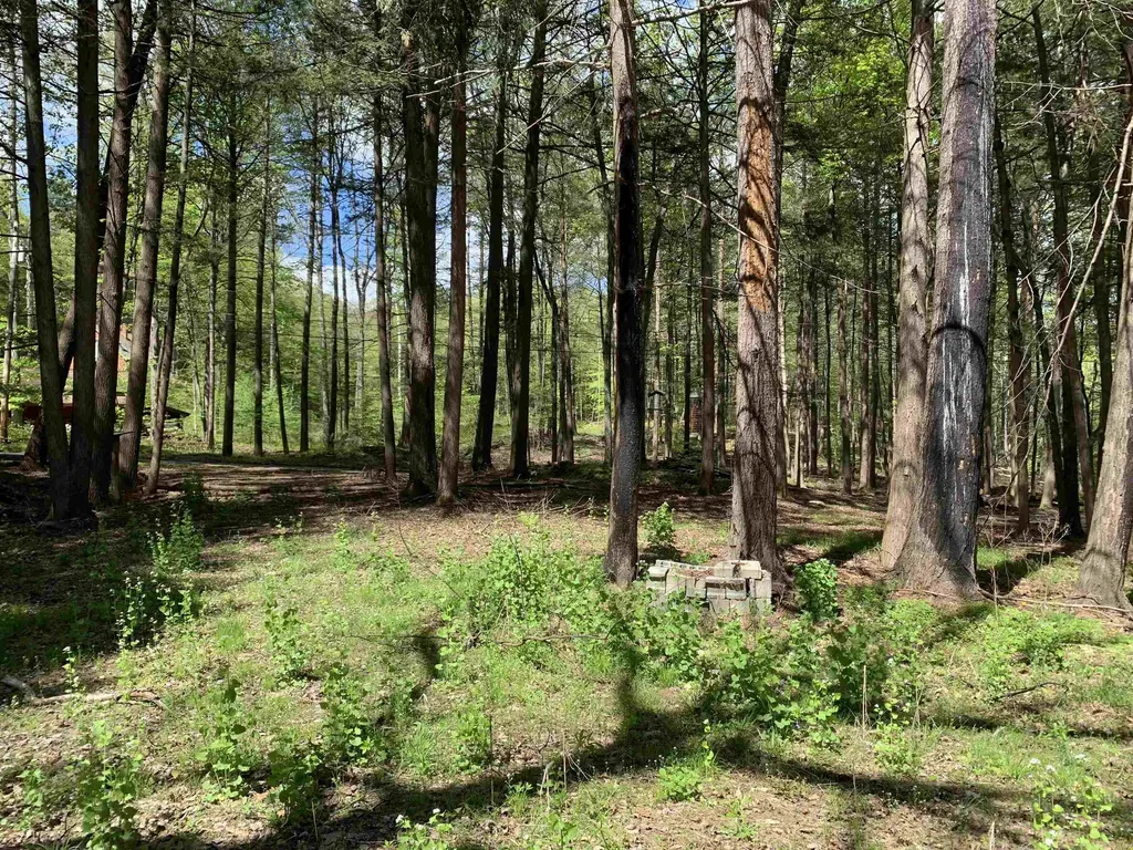 19 Shag Bark Hill Putney VT 05346