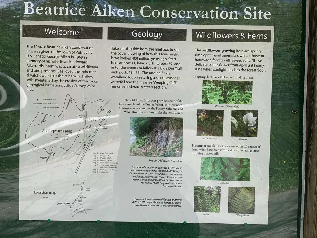 19 Shag Bark Hill Putney VT 05346