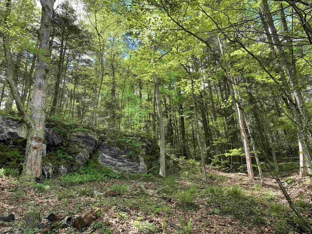 19 Shag Bark Hill Putney VT 05346