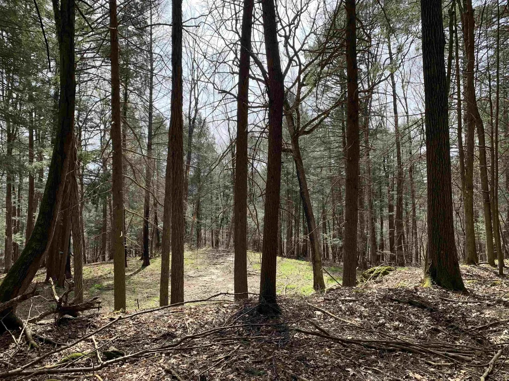 19 Shag Bark Hill Putney VT 05346