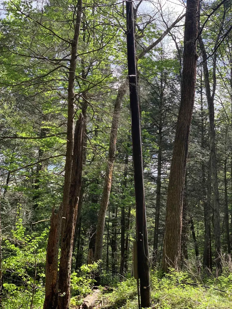 19 Shag Bark Hill Putney VT 05346