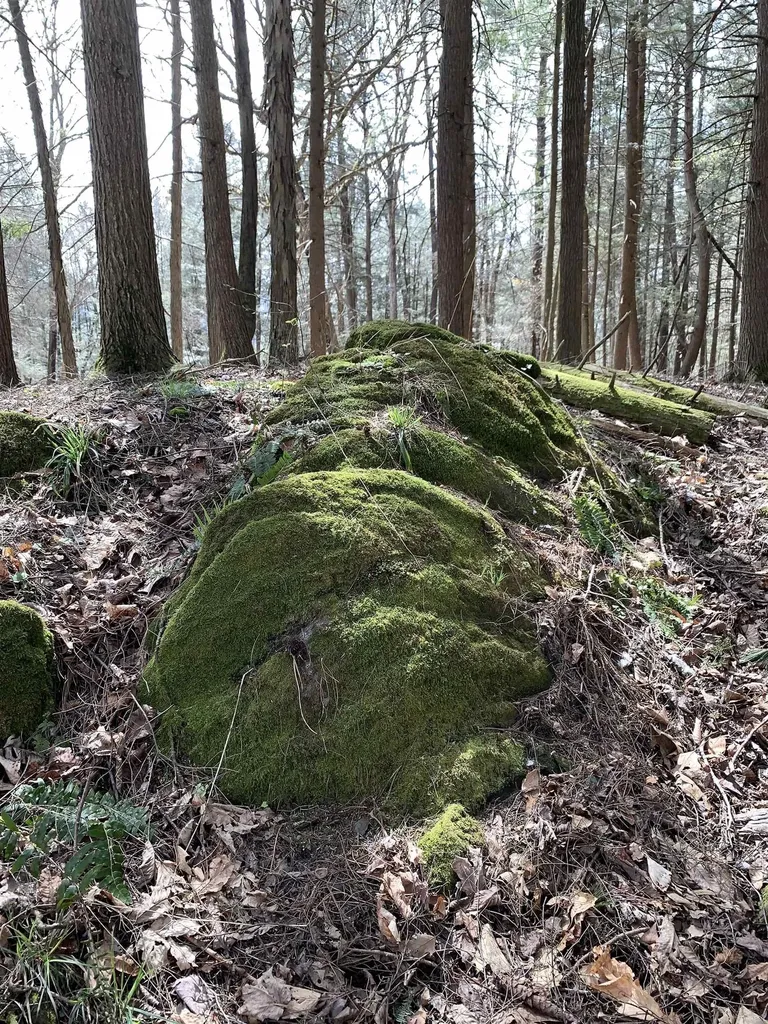 19 Shag Bark Hill Putney VT 05346